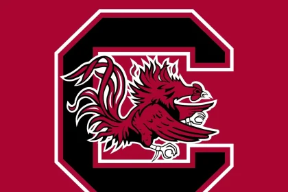 Prayers Pour in After Ex-South Carolina TE shares Personal News