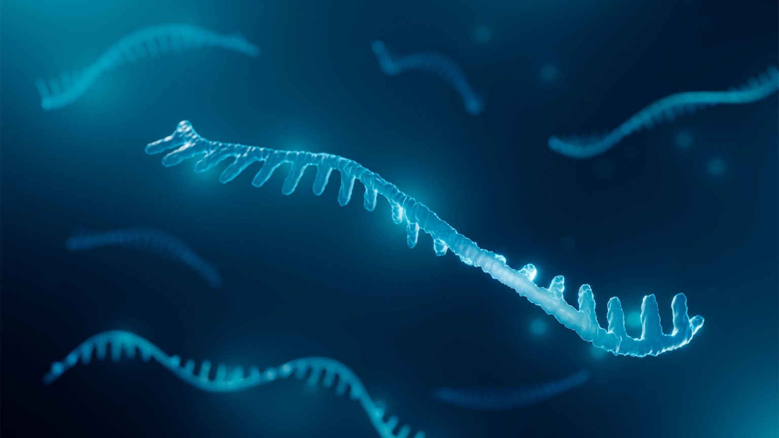 MicroRNA Tests Eyed for Flagging Heart Transplant Rejection