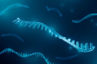 MicroRNA Tests Eyed for Flagging Heart Transplant Rejection