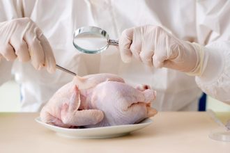 Researchers find chicken is most common source of Salmonella