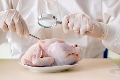 Researchers find chicken is most common source of Salmonella