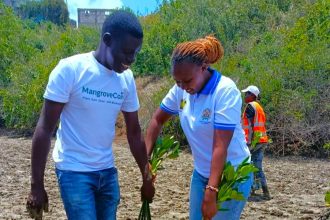 From Muddy Roots to Digital Boots: How MangroveCoin is Tokenizing Kenya’s Coastline Restoration Efforts