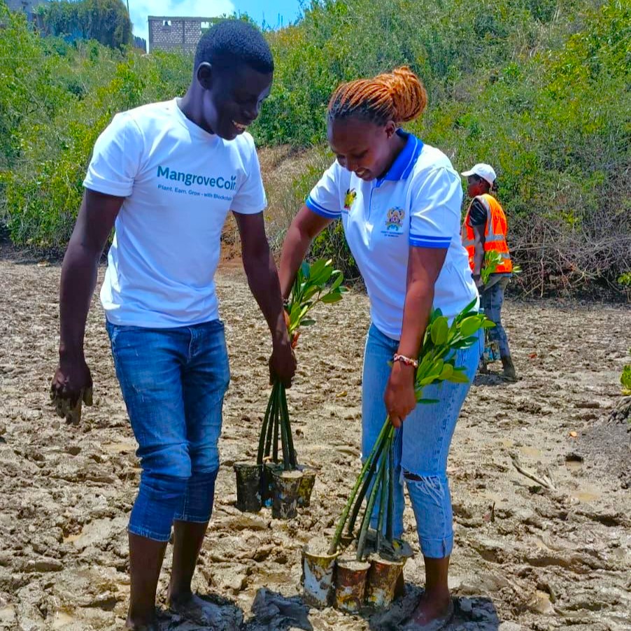 From Muddy Roots to Digital Boots: How MangroveCoin is Tokenizing Kenya’s Coastline Restoration Efforts