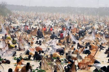 The Argungu Fishing Festival Is Back and Here Are 5 Things to Know Ahead of February