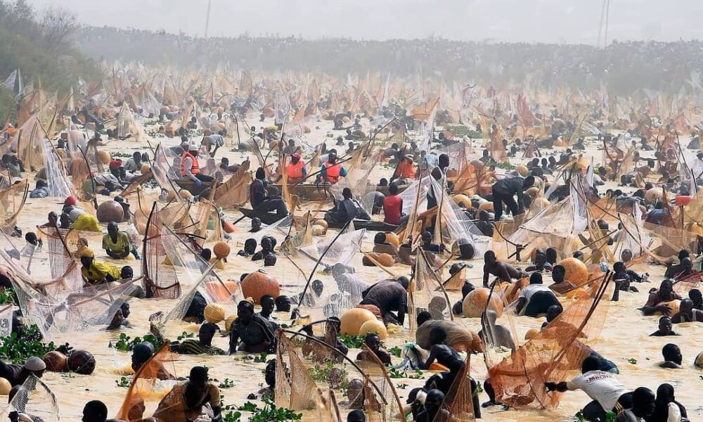 The Argungu Fishing Festival Is Back and Here Are 5 Things to Know Ahead of February
