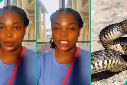Lady narrates how sister survived snake bite twice, people react to video