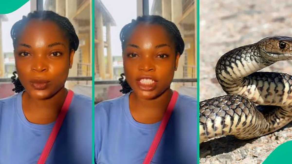 Lady narrates how sister survived snake bite twice, people react to video