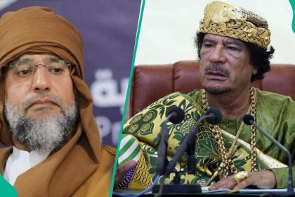 Gaddafi’s son killed: Shock as Saif al-Islam assassinated in Libya, see trending photo