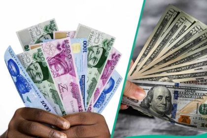 Find out more as Nigerians rush to sell off dollars as new exchange rate emerges