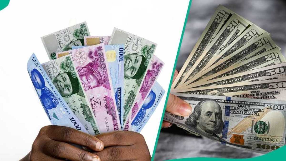 Find out more as Nigerians rush to sell off dollars as new exchange rate emerges