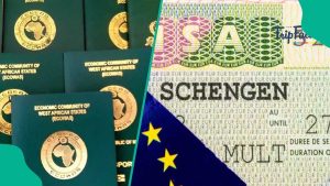 You want to Japa: Here are things to avoid when applying for Schengen visa