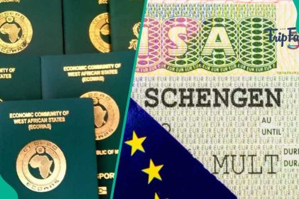 You want to Japa: Here are things to avoid when applying for Schengen visa