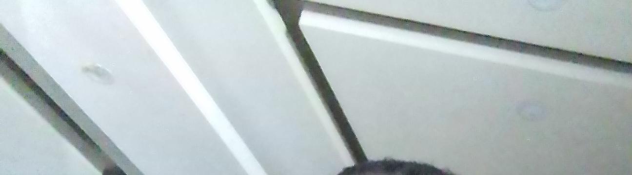 Anyanwu  Ozioma Juliet 