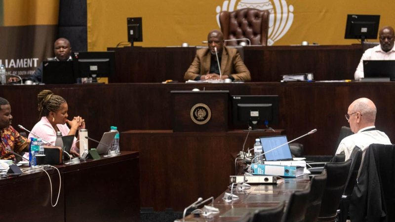 Parliament’s ad hoc committee granted fresh extension to finish witness testimonies