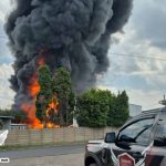 In case you missed it: Mugabe’s son arrested | Zim-bound bus crash | Maskandi singer beaten to death