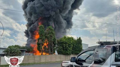 In case you missed it: Mugabe’s son arrested | Zim-bound bus crash | Maskandi singer beaten to death