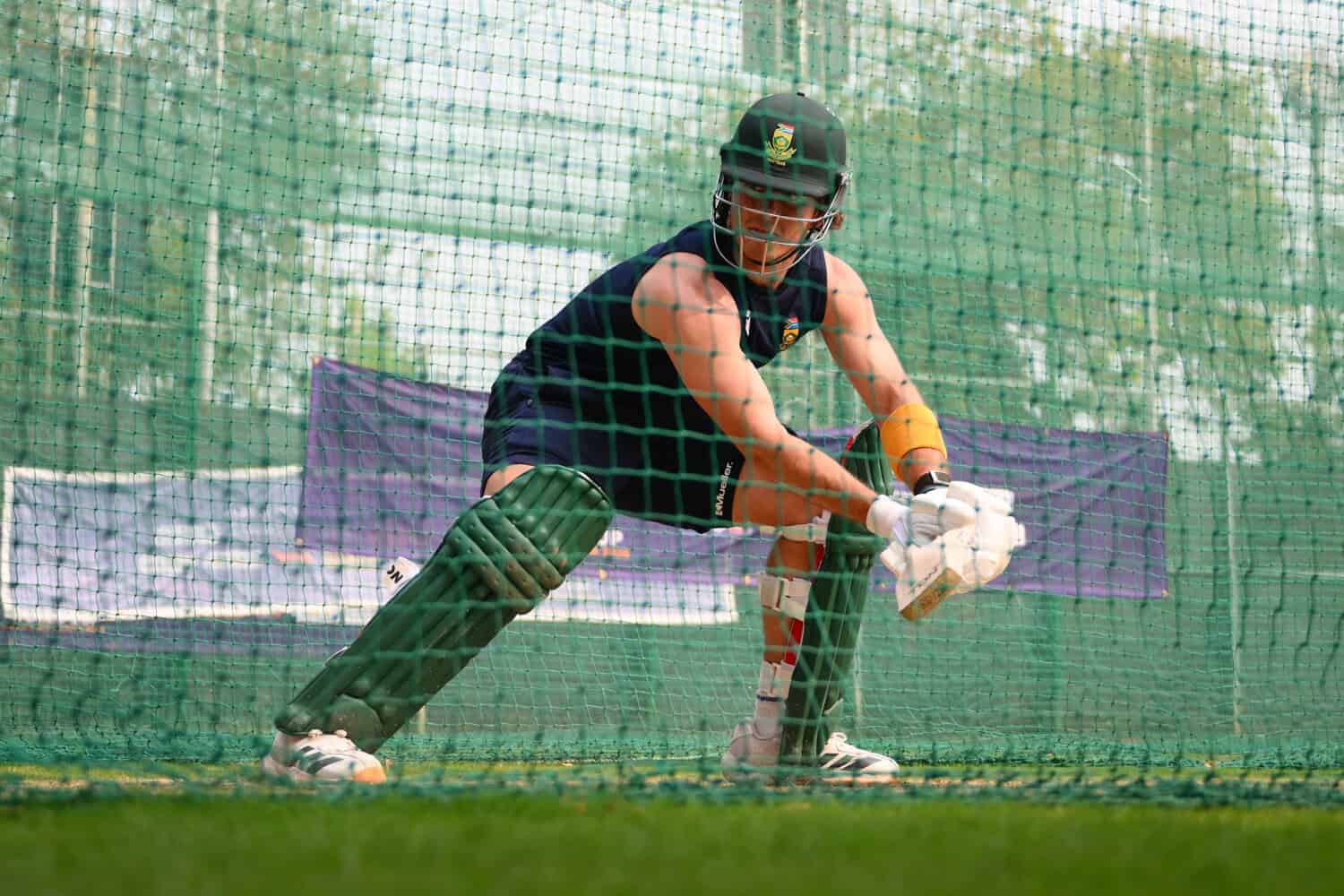 ‘Brevis will stand up for Proteas when the occasion demands it,’ says Conrad