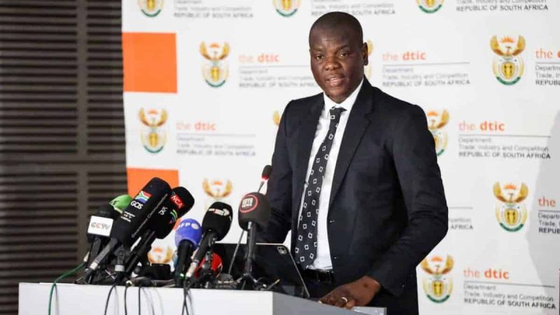 Two South Africans trapped in Ukraine war zone killed, Lamola confirms