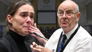 TALE OF TWO TESTIMONIES: How lawyer Sarah-Jane Trent’s tears and ex-boss O’Sullivan’s bravado created a parliamentary rollercoaster