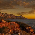 Newsletters: I have a picture for you! 28 February-6 March 2026