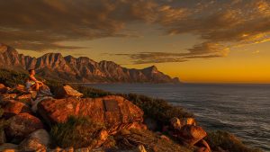 Newsletters: I have a picture for you! 28 February-6 March 2026