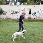 OUR CITY NEWS: How CLAW navigates ruins and rituals to save Joburg’s pets