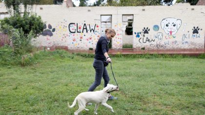 OUR CITY NEWS: How CLAW navigates ruins and rituals to save Joburg’s pets