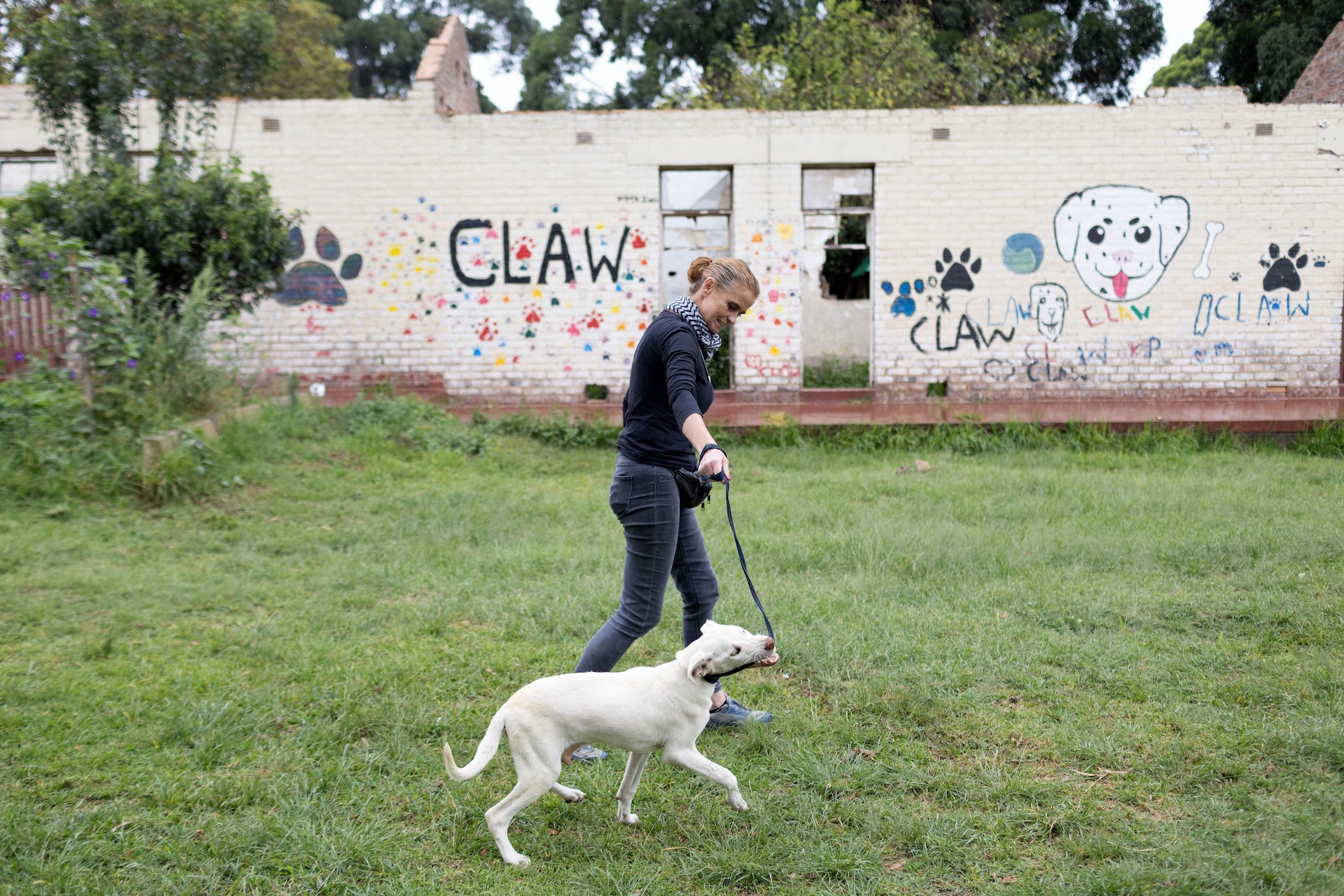 OUR CITY NEWS: How CLAW navigates ruins and rituals to save Joburg’s pets
