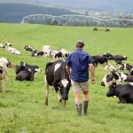 BIOSECURITY: Fears mount that provincial budget allocations are insufficient to combat foot-and-mouth disease outbreak