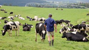 BIOSECURITY: Fears mount that provincial budget allocations are insufficient to combat foot-and-mouth disease outbreak