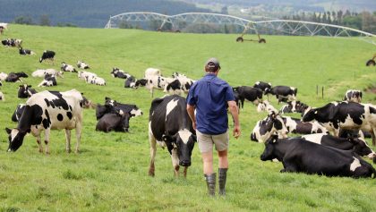 BIOSECURITY: Fears mount that provincial budget allocations are insufficient to combat foot-and-mouth disease outbreak