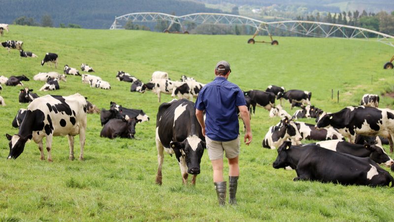 BIOSECURITY: Fears mount that provincial budget allocations are insufficient to combat foot-and-mouth disease outbreak