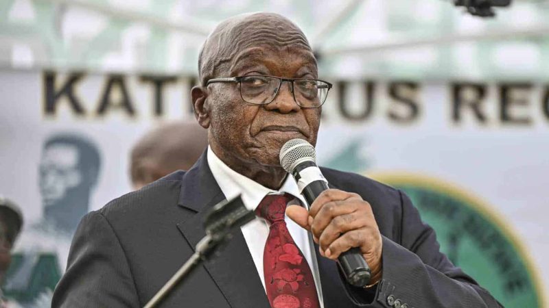 Zuma to visit Malema family home in Limpopo to pay respects