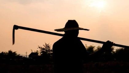 Violence without a face: Brutality knows no race