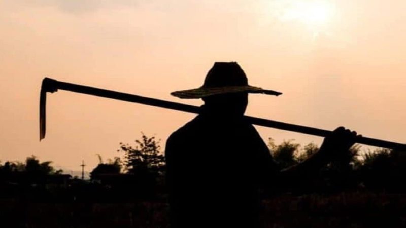 Violence without a face: Brutality knows no race