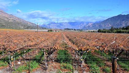 What’s Eating Us? Maverick Citizen launches third season of food justice podcast