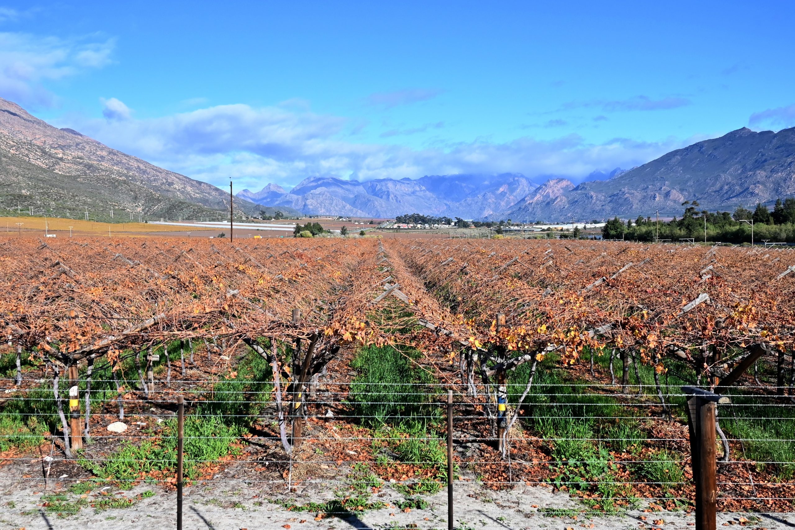 What’s Eating Us? Maverick Citizen launches third season of food justice podcast