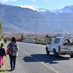 In the thorns: Farmworkers exposed to pesticides in De Doorns fear speaking out
