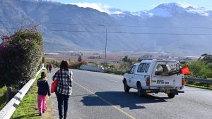 In the thorns: Farmworkers exposed to pesticides  in De Doorns fear speaking out