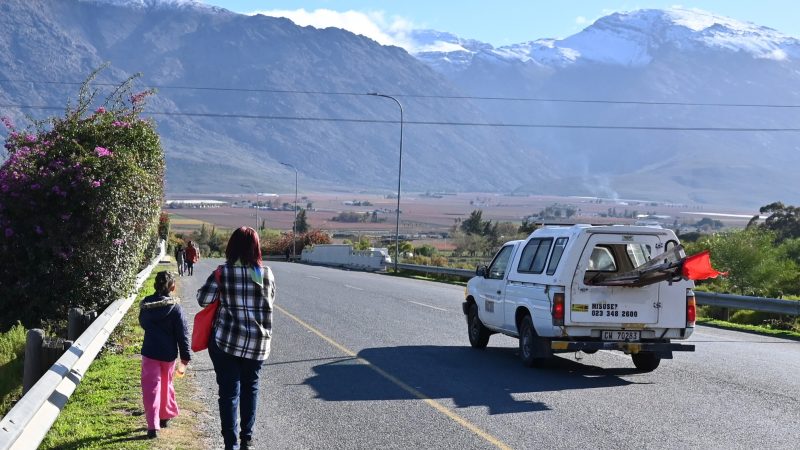 In the thorns: Farmworkers exposed to pesticides  in De Doorns fear speaking out