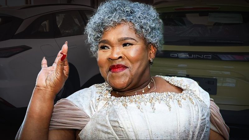 INVESTIGATION: EXCLUSIVE: The mystery of Minister Sisisi Tolashe’s missing SUVs