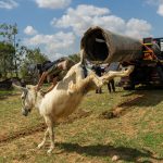 IN PICTURES: A Bedouin boy rides a donkey in Al-Fura, and more from around the world