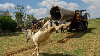 IN PICTURES: A Bedouin boy rides a donkey in Al-Fura, and more from around the world