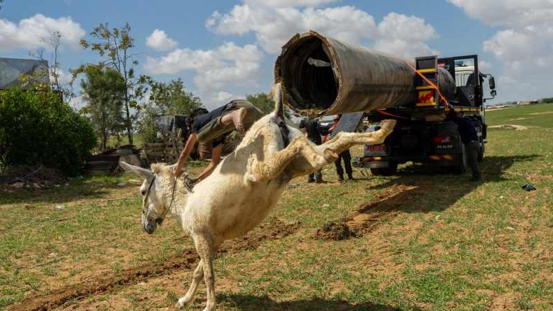 IN PICTURES: A Bedouin boy rides a donkey in Al-Fura, and more from around the world
