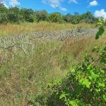 Conversations with neighbouring countries not effective