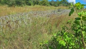 Conversations with neighbouring countries not effective