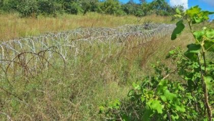 Conversations with neighbouring countries not effective