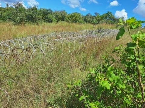 Conversations with neighbouring countries not effective