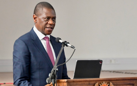 Mashatile maintains he never met ‘Cat’ Matlala