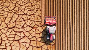 CLIMATE CRISIS : Drought warning: El Niño on steroids is on the horizon